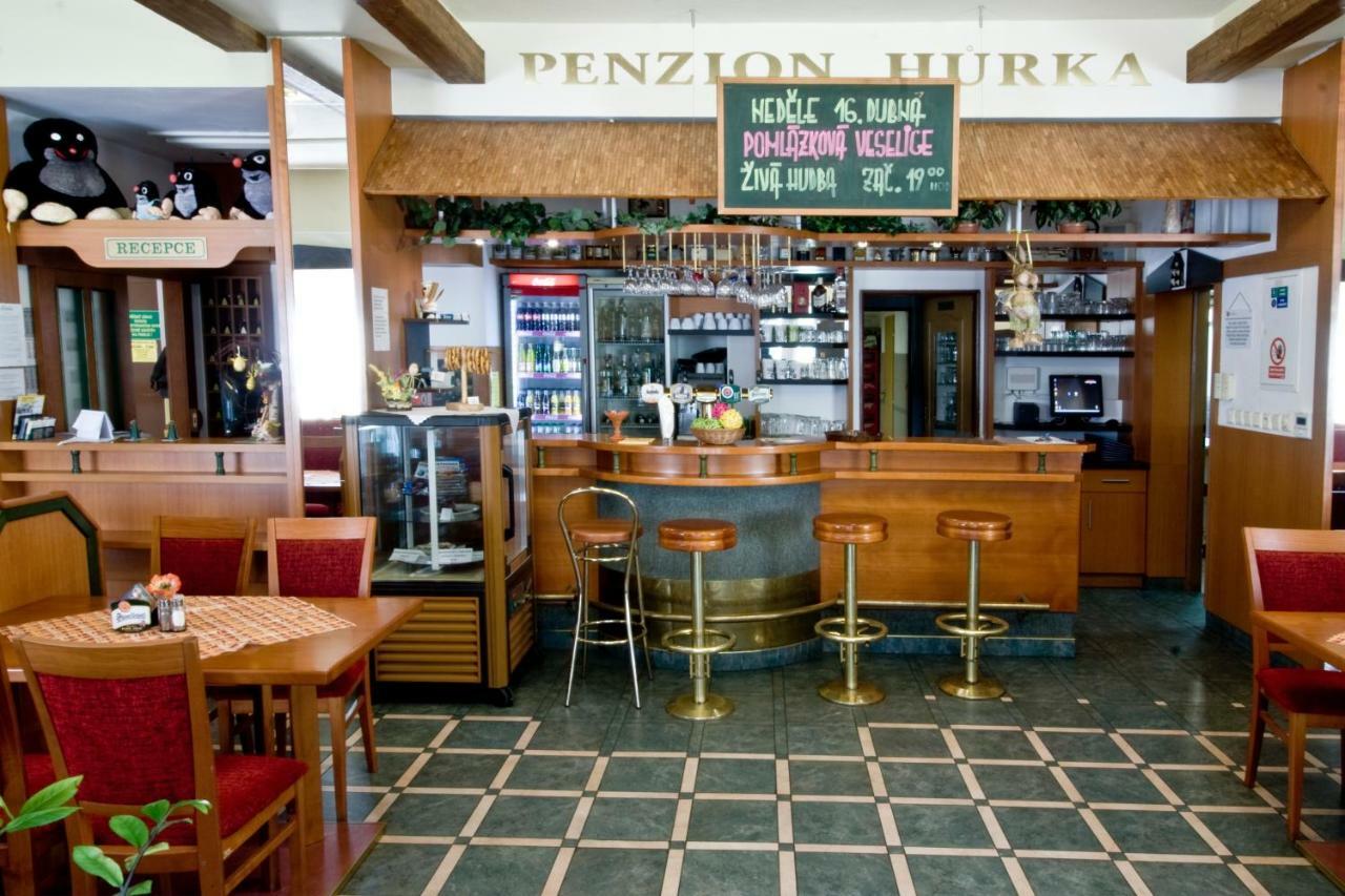 Hotel Penzion Hůrka Dolni Libchavy Exteriér fotografie